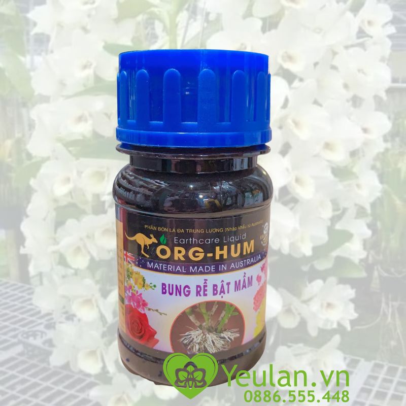 ORG HUM – Bung Rễ Bật Mầm